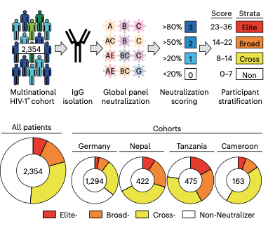 Graphic Neutralizing antibody dynamics